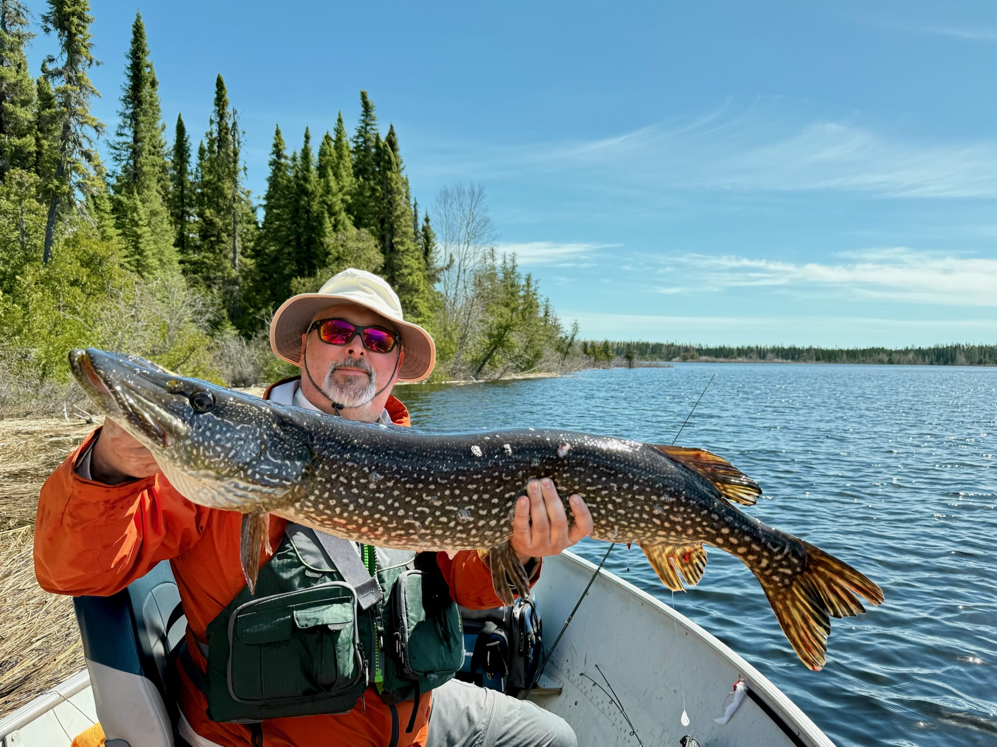 Angler holding a northern pike on a sunny Gray Wood Outfitters lake